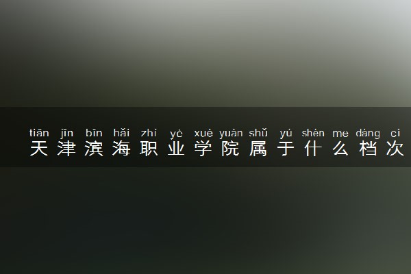 天津滨海职业学院属于什么档次 学校好不好
