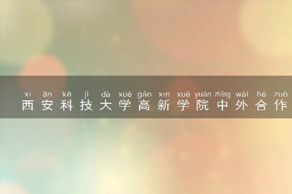 西安科技大学高新学院中外合作办学专业有哪些 好就业吗