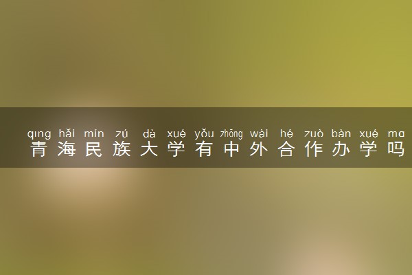 青海民族大学有中外合作办学吗 录取分数线是多少