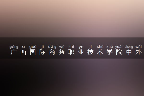 广西国际商务职业技术学院中外合作办学学费多少钱 各专业收费标准