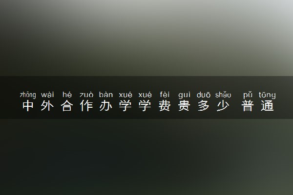 中外合作办学学费贵多少 普通家庭读的起吗