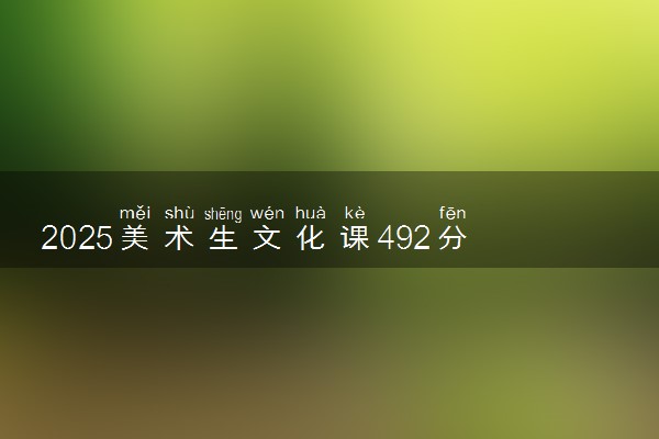 2025美术生文化课492分能上浙江树人学院吗