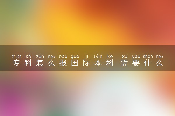 专科怎么报国际本科 需要什么条件