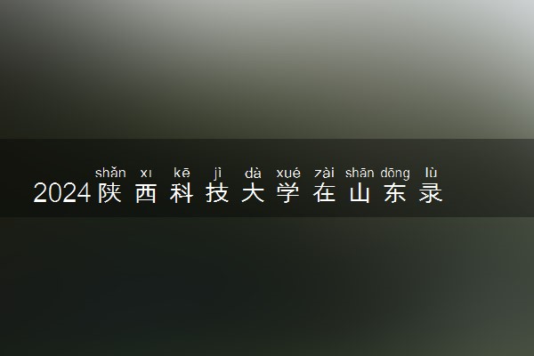 2024陕西科技大学在山东录取分数线 各专业分数及位次