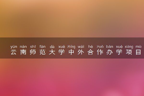 云南师范大学中外合作办学项目有哪些 要出国吗
