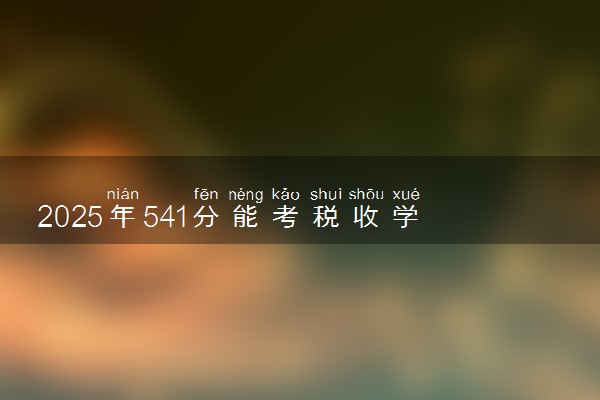 2025年541分能考税收学专业吗 541分税收学专业大学推荐