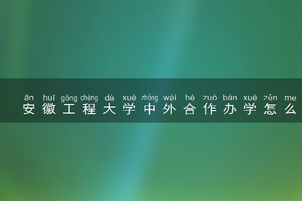 安徽工程大学中外合作办学怎么样 好不好