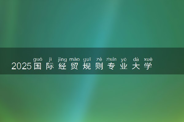 2025国际经贸规则专业大学排名及录取分数线