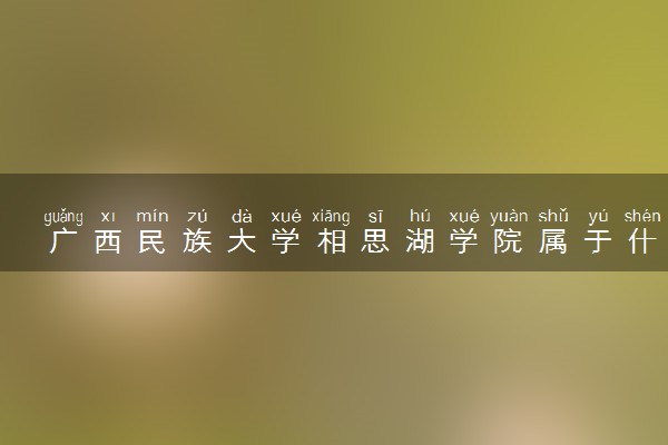 广西民族大学相思湖学院属于什么档次 学校好不好
