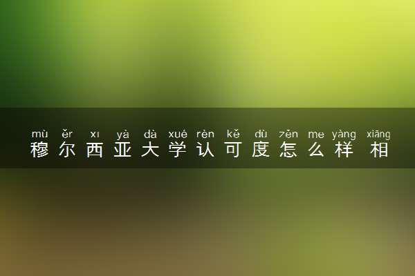 穆尔西亚大学认可度怎么样 相当于国内什么大学