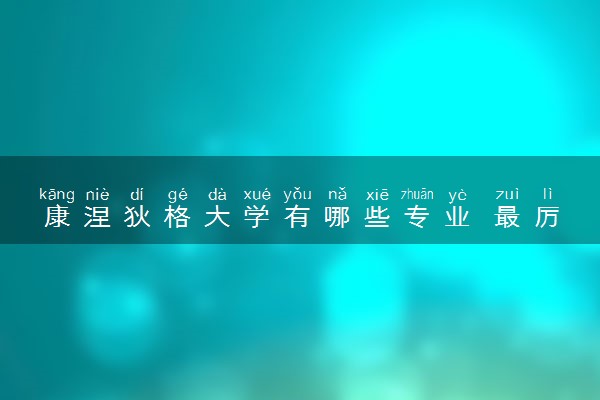 康涅狄格大学有哪些专业 最厉害三个专业是什么