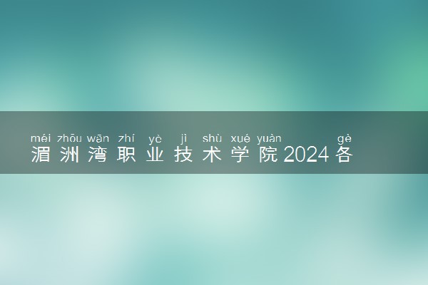 湄洲湾职业技术学院2024各省录取分数线及最低位次是多少
