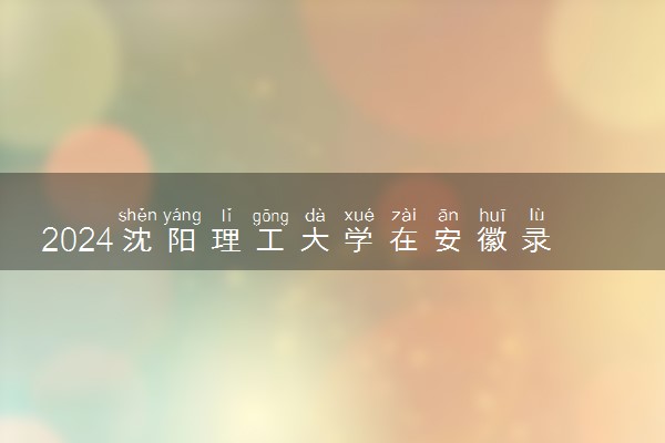 2024沈阳理工大学在安徽录取分数线 各专业分数及位次