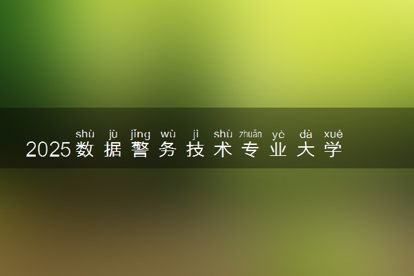 2025数据警务技术专业大学排名及录取分数线