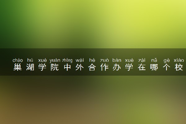 巢湖学院中外合作办学在哪个校区 在什么地方