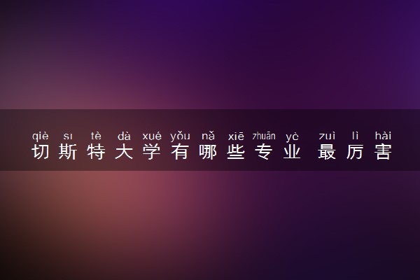 切斯特大学有哪些专业 最厉害三个专业是什么