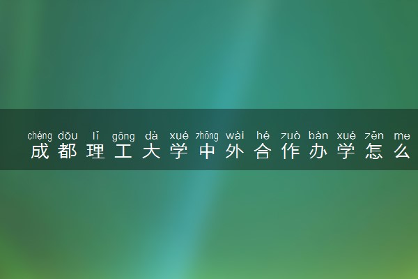 成都理工大学中外合作办学怎么样 好不好