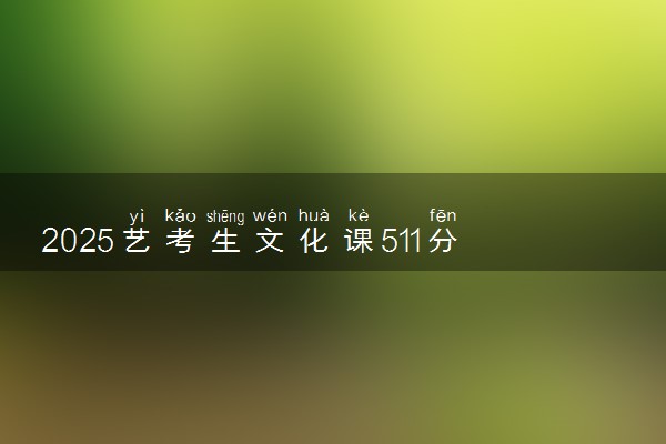 2025艺考生文化课511分能上安康学院吗