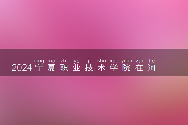 2024宁夏职业技术学院在河南录取分数线 各专业分数及位次