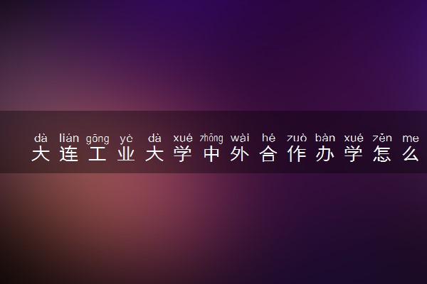 大连工业大学中外合作办学怎么样 好不好
