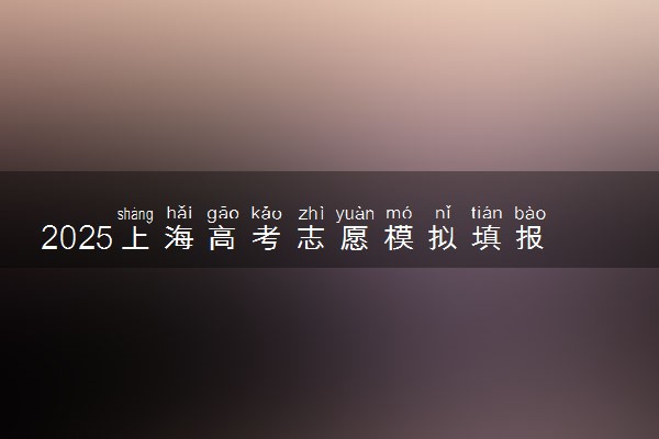 2025上海高考志愿模拟填报样表 志愿设置及填报技巧
