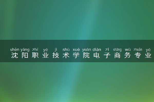 沈阳职业技术学院电子商务专业怎么样 录取分数线多少