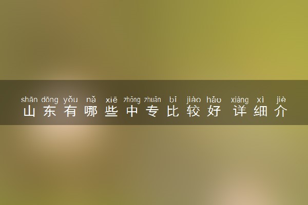 山东有哪些中专比较好 详细介绍