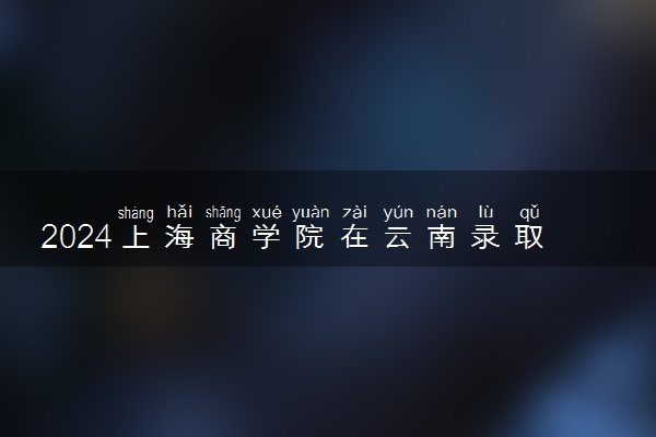 2024上海商学院在云南录取分数线 各专业分数及位次