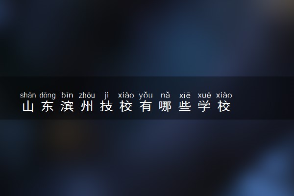 山东滨州技校有哪些学校