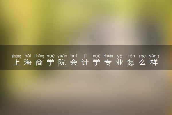 上海商学院会计学专业怎么样 录取分数线多少