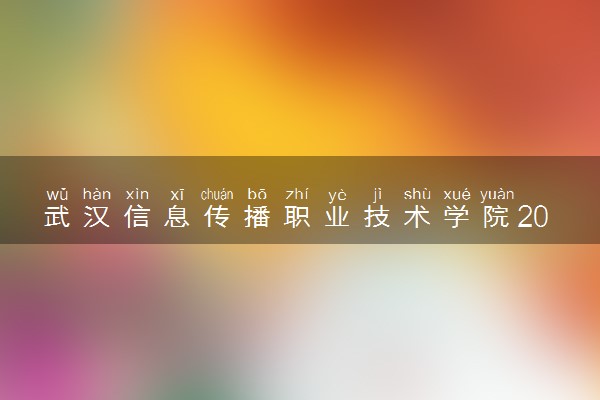 武汉信息传播职业技术学院2024各省录取分数线及最低位次是多少