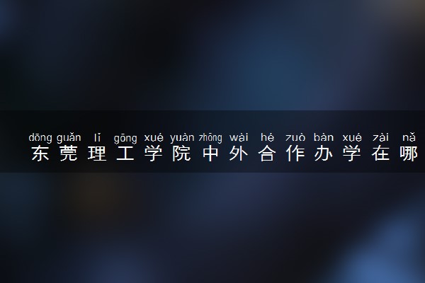 东莞理工学院中外合作办学在哪个校区 在什么地方