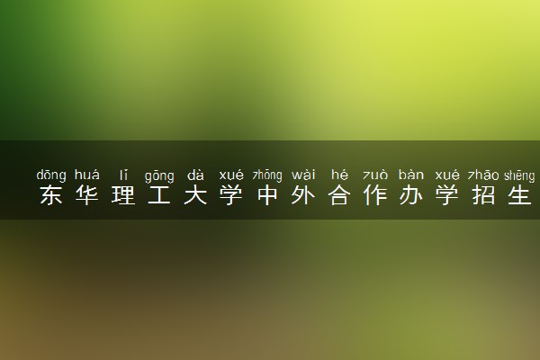 东华理工大学中外合作办学招生简章及专业计划（2025参考）