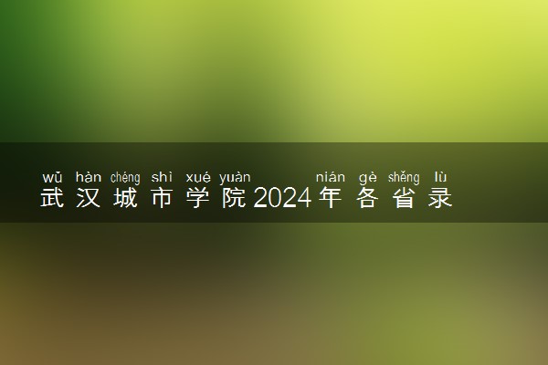 武汉城市学院2024年各省录取分数线 多少分能考上