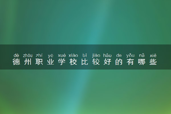 德州职业学校比较好的有哪些