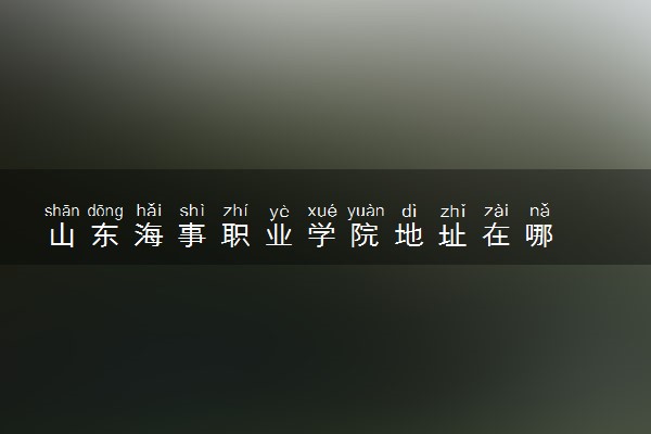 山东海事职业学院地址在哪