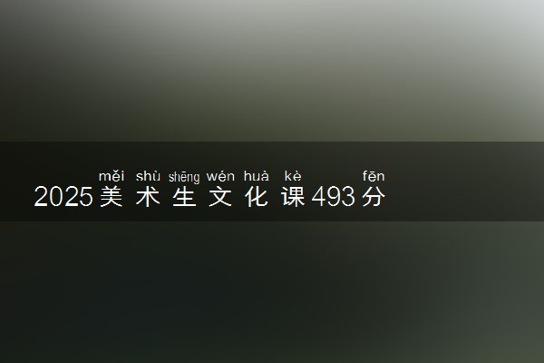 2025美术生文化课493分能上武汉纺织大学吗