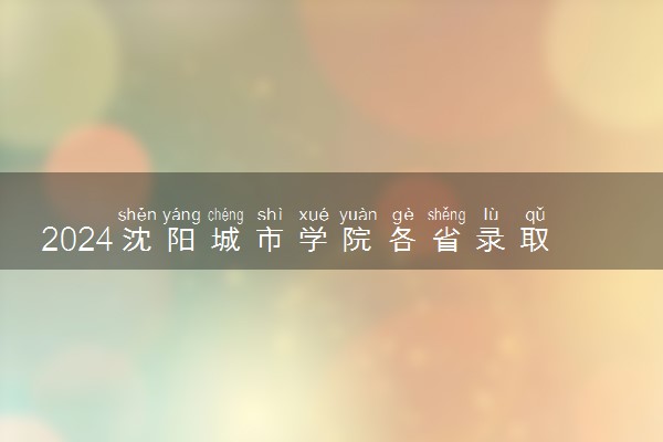 2024沈阳城市学院各省录取分数线是多少 最低分及位次