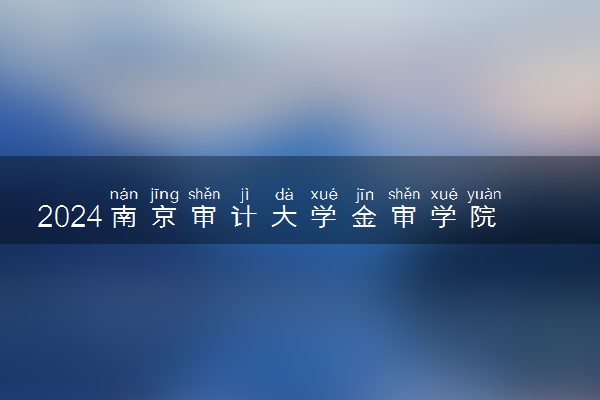2024南京审计大学金审学院在四川录取分数线 各专业分数及位次