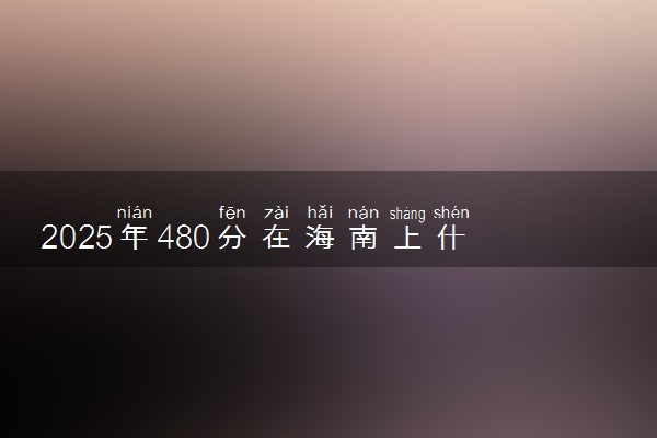 2025年480分在海南上什么大学好 近三年录取分数线是多少