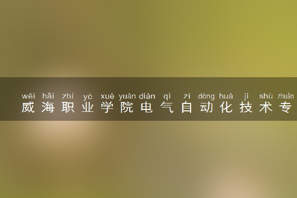 威海职业学院电气自动化技术专业怎么样 录取分数线多少