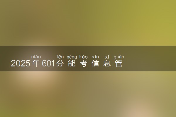 2025年601分能考信息管理与信息系统专业吗 601分信息管理与信息系统专业大学推荐
