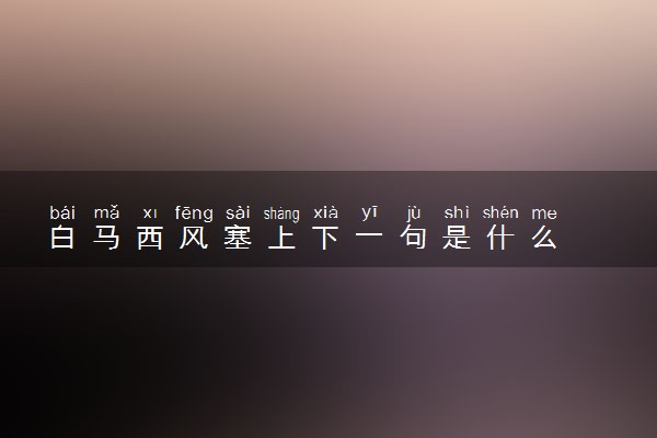白马西风塞上下一句是什么