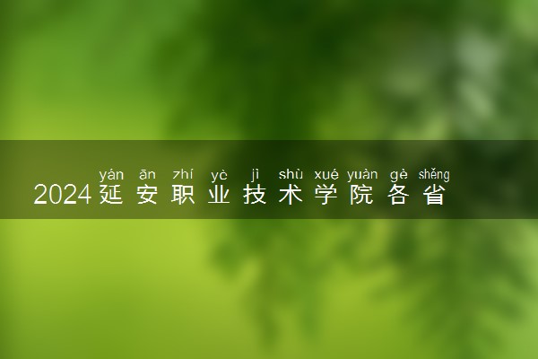 2024延安职业技术学院各省录取分数线是多少 最低分及位次