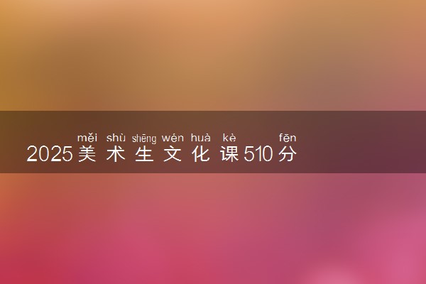 2025美术生文化课510分能上安阳工学院吗