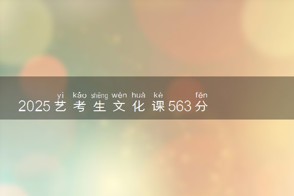 2025艺考生文化课563分能上海南师范大学吗