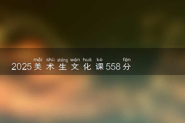 2025美术生文化课558分能上陕西科技大学吗
