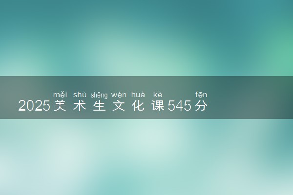 2025美术生文化课545分能上武汉纺织大学吗
