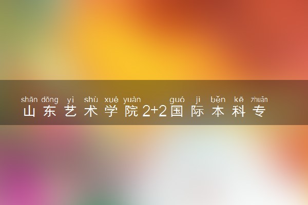 山东艺术学院2+2国际本科专业及学费 实力如何