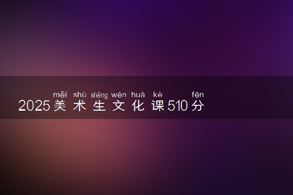 2025美术生文化课510分能上景德镇学院吗